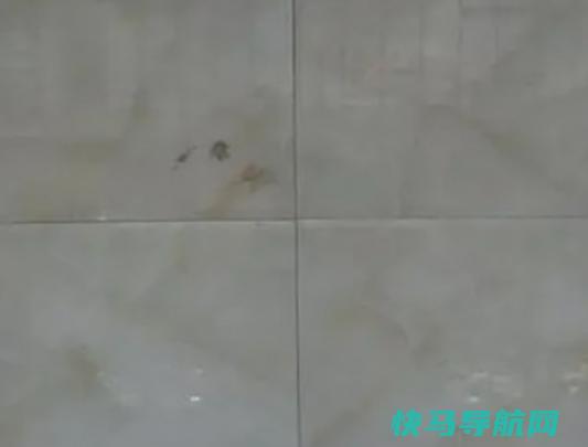 十大瓷砖勾缝剂品牌排行榜，百得瓷砖勾缝剂、德高瓷砖勾缝剂质感很好