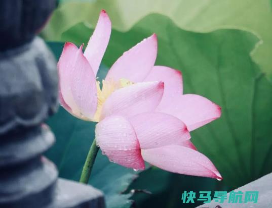夏至过了天气有哪些变化？夏至过后白天变长了吗